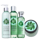 Kit The Body Shop Fuji Green Tea Hidratante (4 Produtos) (1)