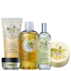 Kit The Body Shop Moringa Hidratação Poderosa (5 Produtos) (1)