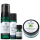 Kit The Body Shop Tea Tree Cuidado Intenso (4 Produtos) (1)