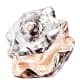 Lady Emblem Montblanc Eau de Parfum - Perfume Feminino 75ml (1)