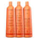Kit Richée Professional Argan e Ojon Trio Salão (3 Produtos)