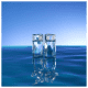 L'Eau Kenzo pour Femme Eau de Toilette - Perfume Feminino 100ml (5)