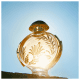 Olympéa Solar Rabanne Eau de Parfum - Perfume Feminino 50ml (6)