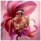Olympéa Solar Rabanne Eau de Parfum - Perfume Feminino 50ml (5)