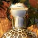 Aqua Allegoria Mandarine Basilic Guerlain Eau de Toilette Recarregável - Perfume Feminino 75ml (3)