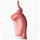 CARE Natural Beauty Clear Pink - Óleo Labial 4,2ml (8)