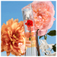 Flower by Kenzo La Récolte Parisienne Eau de Parfum - Perfume Feminino 75ml (4)