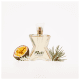 Rock! Shakira Eau de Toilette - Perfume Feminino 30ml (6)
