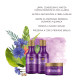 Kit Inoar Absolut Speed Blond Duo Violet (2 Produtos) (3)
