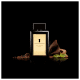 The Golden Secret Antonio Banderas Eau de Toilette - Perfume Masculino 30ml (5)