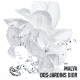 Dior Hydra Life Sorbet Crème - Hidratante Facial 50ml (4)