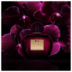 Her Secret Temptation Antonio Banderas Eau de Toilette - Perfume Feminino 50ml (9)