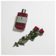 The Secret Temptation Antonio Banderas Eau de Toilette - Perfume Masculino 100ml (5)