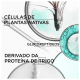 Kérastase Résistance Force Architecte - Máscara de Reconstrução 200ml (6)