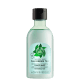 The Body Shop Fuji Green Tea Refreshingly Hydrating - Condicionador 250ml