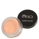 Dailus PRO HD 10 Claro Rosado - Corretivo Compacto 4g (1)