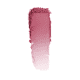 Dior Diorskin Rouge 962 Poison - Blush Matte 6,7g (2)