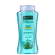 Payot Botânico Melissa e Erva Doce - Shampoo 300ml (1)