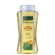 Payot Botânico Calêndula e Aloe Vera - Shampoo 300ml (1)