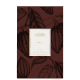 Maia Phebo Eau de Parfum - Perfume Unissex 100ml (2)