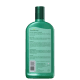 Farmaervas Babosa e Ginseng - Shampoo 320ml (2)
