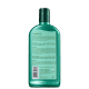 Shampoo Farmaervas Chá Verde 320ml (2)