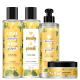 Kit Tratamento Completo: Xô, pontas duplas (1)