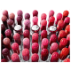 Dior Addict Stellar Shine 536 Lucky - Batom Cintilante 3g (7)