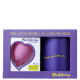 Kit Violeta Cup Tipo A Rosa (2 Produtos) (3)