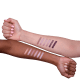 Zanphy Metallic Pack Prata - Paleta de Sombras 24g (4)