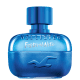 Festival Nite for Him Hollister Eau de Toilette - Perfume Masculino 100ml (1)