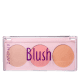 Zanphy 01 - Paleta de Blush 15g (2)