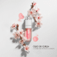 Dior Addict Lip Glow Oil 007 Raspberry - Gloss Labial 6ml (5)
