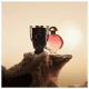 Olympéa Onyx Collector Edition Paco Rabanne Eau de Parfum - Perfume Feminino 80ml (7)