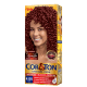 Niely Cosméticos Cor & Ton 4.66 Bordeaux - Coloração Permanente (1)