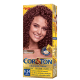 Niely Cosméticos Cor & Ton 6.54 Acaju Acobreado - Coloração Permanente (1)