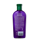 Phytoervas Antiqueda Bétula Natural - Condicionador 250ml (2)