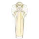 Golden Dream Shakira Eau de Toilette - Perfume Feminino 80ml
(1)