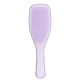 The Wet Detangler Iris Sparkle - Escova de Cabelo (4)