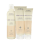 Kit Aveda Color Conserve Strength