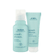 Kit Aveda Smooth Infusion Travel Size Duo (2 Produtos)