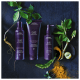 Aveda Invati Advanced Rich Esfoliante - Shampoo 200ml (3)