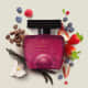 Coffee Addictive Oriental Frutal Desodorante Colônia 100ml (3)
