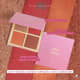Eudora Niina Secrets Luminous Cor 02 - Palette Multifuncional 12g (4)