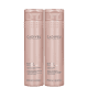 Kit Cadiveu Professional Repair Solution Duo (2 Produtos) (1)