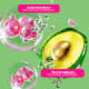 Kit Matrix Food For Soft (4 Produtos) (2)