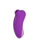 Désir Atelier Flap 2 em 1 Roxo - Vibrador e Sugador (1)