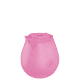 Sugador de Clitóris Flower - Rosa (1)