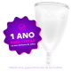 Coletor Menstrual (2UN) - 1 Coletor A + 1 Coletor B (5)