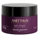 Kit Aneethun No Frizz System (3 Produtos) (3)